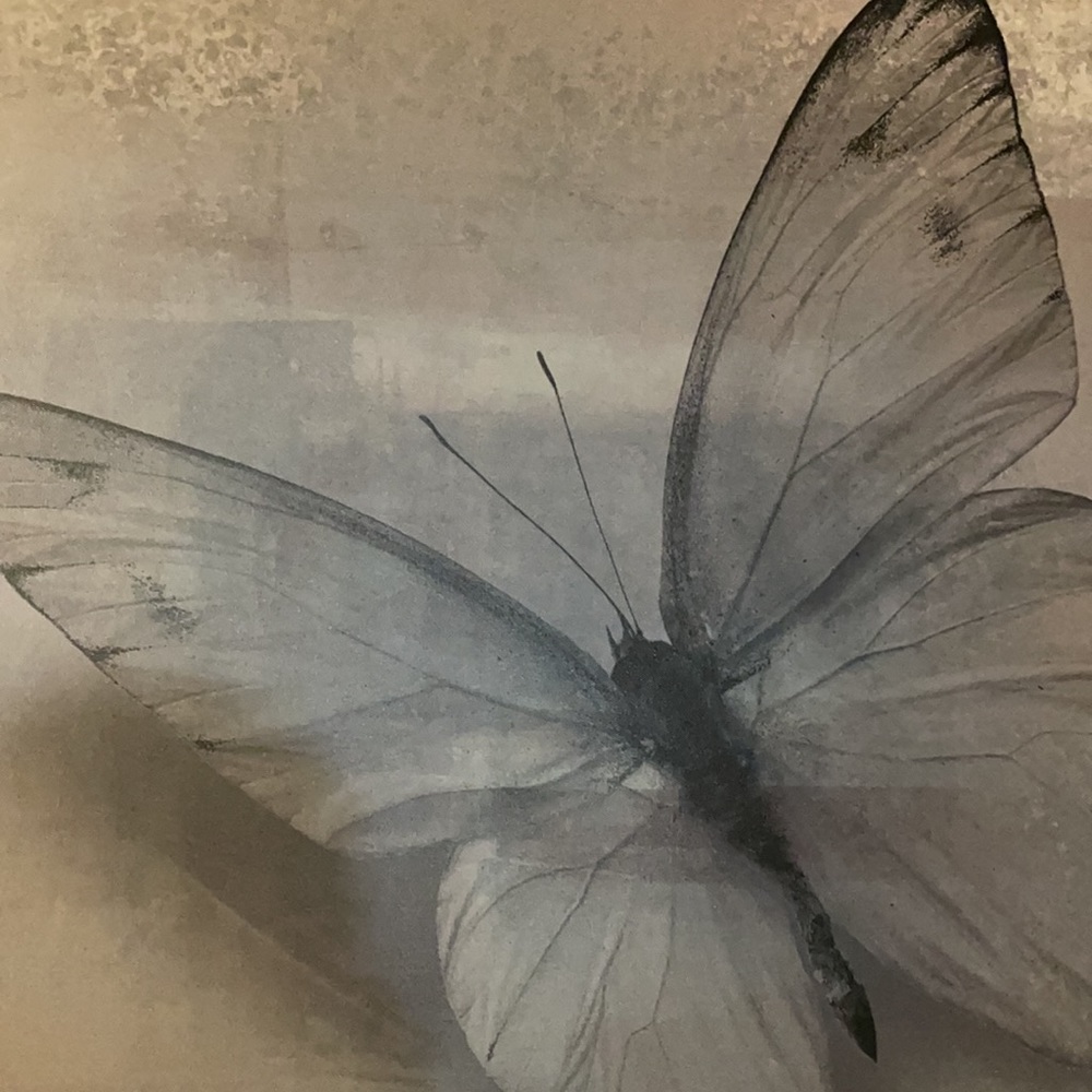 Butterfly wall decor art - Picture 2 of 2